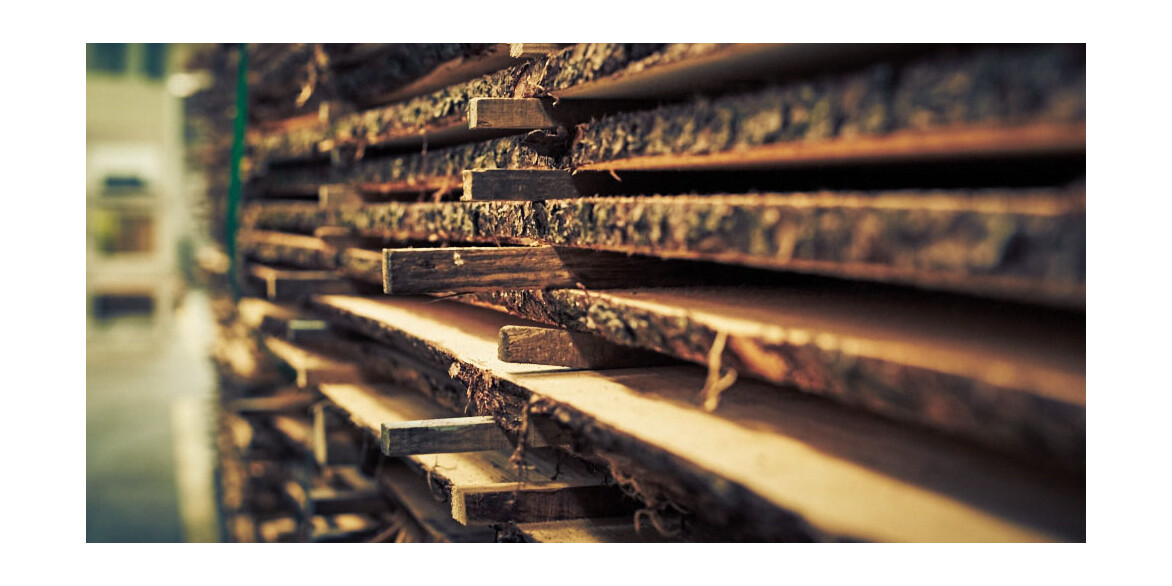 Symbolbild Nachhaltigkeit Symbolbild Nachhaltigkeit