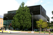 Haus der Musik, Fotocredits: passathon Haus der Musik, Fotocredits: passathon