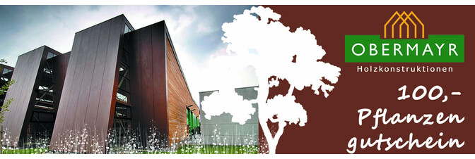 Obermayr Holzkonstruktionen Baumpflanzung