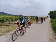 passathon-Teilnehmer*innen unterwegs bei einer Gruppentour in den Weinbergen, Credits: passathon passathon-Teilnehmer*innen unterwegs bei einer Gruppentour in den Weinbergen, Credits: passathon